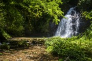 Bracinho Waterfall - Salto Morato Ecological Reserve - Guaraquecaba city - Parana state (PR) - Brazil