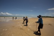 Fishermen collecting fishing net - Riacho Beach - Prado city - Bahia state (BA) - Brazil