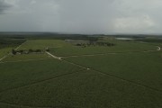 Picture taken with drone of sugarcane plantation - Pinheiros city - Espirito Santo state (ES) - Brazil