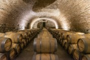 Wine barrels in a winery - Bodegas Caro - Mendoza - Mendoza Province - Argentina