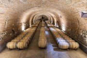 Wine barrels in a winery - Bodegas Caro - Mendoza - Mendoza Province - Argentina