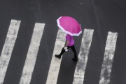 Person with umbrella crossing street at crosswalk - Sao Jose do Rio Preto city - Sao Paulo state (SP) - Brazil