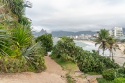 Cactus in the vegetation of Arpoador Stone - Ipanema Beach in the background - Rio de Janeiro city - Rio de Janeiro state (RJ) - Brazil