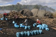 Workers and Oven used to production of charcoal - Boa Vista city - Roraima state (RR) - Brazil
