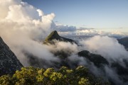 View of the Tijuca Peak from Bico do Papagaio Mountain - Tijuca National Park - Rio de Janeiro city - Rio de Janeiro state (RJ) - Brazil