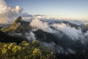 View of the Tijuca Peak from Bico do Papagaio Mountain - Tijuca National Park - Rio de Janeiro city - Rio de Janeiro state (RJ) - Brazil