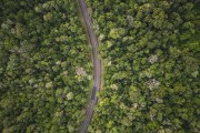 Picture taken with drone of the road cutting through the Iguaçu National Park - Foz do Iguacu city - Parana state (PR) - Brazil