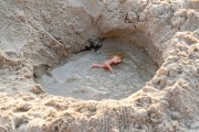 Doll in a pool dug in the sand - Arpoador Beach - Rio de Janeiro city - Rio de Janeiro state (RJ) - Brazil