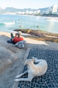 Dog on the boardwalk in Arpoador - Rio de Janeiro city - Rio de Janeiro state (RJ) - Brazil