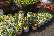 Sale of lemons at the Sao Joaquim Fair - Salvador city - Bahia state (BA) - Brazil