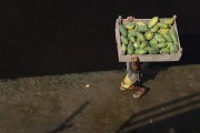 Worker carrying a box with papaya at the Port of Manaus - Manaus city - Amazonas state (AM) - Brazil