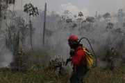 Firefighters working to contain fires in floodplain vegetation in the Amazon rainforest - Iranduba city - Amazonas state (AM) - Brazil