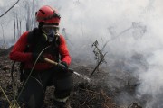 Firefighters working to contain fires in floodplain vegetation in the Amazon rainforest - Iranduba city - Amazonas state (AM) - Brazil