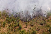 Picture taken with drone of the burning of floodplain vegetation in the Amazon rainforest - Iranduba city - Amazonas state (AM) - Brazil