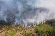 Picture taken with drone of the burning of floodplain vegetation in the Amazon rainforest - Iranduba city - Amazonas state (AM) - Brazil