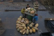 Workers carrying a box with pumpkin at the Port of Manaus - Manaus city - Amazonas state (AM) - Brazil