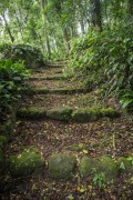 Detail of trail at Solidao Dam - Tijuca National Park  - Rio de Janeiro city - Rio de Janeiro state (RJ) - Brazil