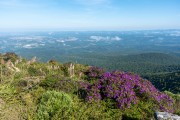 Anhangava Hill Summit - Serra da Baitaca State Park - Quatro Barras city - Parana state (PR) - Brazil