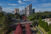 Picture taken with drone of the Deputado Heitor Alencar Furtado Street with flowering trees - Curitiba city - Parana state (PR) - Brazil