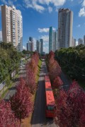 Deputado Heitor Alencar Furtado Street with flowering trees - Curitiba city - Parana state (PR) - Brazil