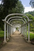 Pergola - Botanical Garden of Rio de Janeiro - Rio de Janeiro city - Rio de Janeiro state (RJ) - Brazil