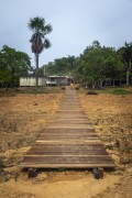 Trail in the Tiririca Community during severe drought in the Amazon - Anavilhanas National Park - Novo Airao city - Amazonas state (AM) - Brazil