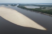 Picture taken with drone of the Negro River and Amazon rainforest during severe drought in the Amazon - Anavilhanas National Park  - Manaus city - Amazonas state (AM) - Brazil