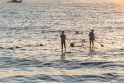Practitioners of Stand up paddle - post 6 of Copacabana Beach - Rio de Janeiro city - Rio de Janeiro state (RJ) - Brazil