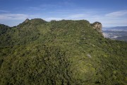 Picture taken with drone of mountains of the Tijuca Forest - Tijuca National Park - Rio de Janeiro city - Rio de Janeiro state (RJ) - Brazil