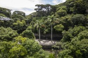 Picture taken with drone of the area of Mesa do Imperador - Tijuca National Park - Rio de Janeiro city - Rio de Janeiro state (RJ) - Brazil