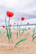 Scenic plastic flowers in honor of Bossa Nova on the sands of Ipanema Beach - Rio de Janeiro city - Rio de Janeiro state (RJ) - Brazil