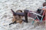 Man resting his leg on dog in the sand of Arpoador Beach - Rio de Janeiro city - Rio de Janeiro state (RJ) - Brazil
