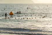 Instructor with stand up giving swimming lesson - Rio de Janeiro city - Rio de Janeiro state (RJ) - Brazil