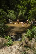 Tourists bathing in a natural pool in the Tijuca Forest - Rio de Janeiro city - Rio de Janeiro state (RJ) - Brazil