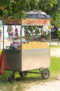 Cart for selling green corn, curau and tamale - Aterro do Flamengo - Rio de Janeiro city - Rio de Janeiro state (RJ) - Brazil