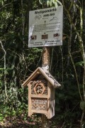 Meliponary - Colonies of stingless bees in the Tijuca Forest - Tijuca National Park  - Rio de Janeiro city - Rio de Janeiro state (RJ) - Brazil