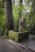 Fountain - Tijuca Forest - Rio de Janeiro city - Rio de Janeiro state (RJ) - Brazil