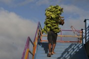 Worker carrying bananas at the Port of Manaus - Manaus city - Amazonas state (AM) - Brazil