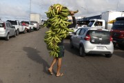 Worker carrying bananas at the Port of Manaus - Manaus city - Amazonas state (AM) - Brazil