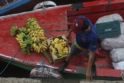 Unloading bananas at the Port of Manaus - Manaus city - Amazonas state (AM) - Brazil
