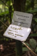 Metal sign with Braille inscriptions for blind visitors - Tijuca Forest - Rio de Janeiro city - Rio de Janeiro state (RJ) - Brazil