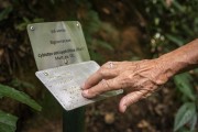 Metal sign with Braille inscriptions for blind visitors - Tijuca Forest - Rio de Janeiro city - Rio de Janeiro state (RJ) - Brazil