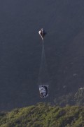 Illegal balloon flying over green area on Saint Georges Day - Rio de Janeiro city - Rio de Janeiro state (RJ) - Brazil