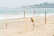 Masts to hang flags on Copacabana Beach - Rio de Janeiro city - Rio de Janeiro state (RJ) - Brazil