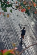 Cyclist on Francisco Otaviano Street - Rio de Janeiro city - Rio de Janeiro state (RJ) - Brazil