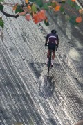 Cyclist on Francisco Otaviano Street - Rio de Janeiro city - Rio de Janeiro state (RJ) - Brazil