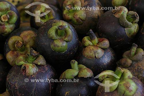  (Garcinia mangostana) Fruta - Mangustão exposto no Mercado Ver-O-Peso - Belém - Pará - Brasil - 2004  - Belém - Pará - Brasil