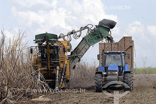  Colheita mecanizada de Cana de Açúcar - Agricultura - Campos dos Goytacazes - RJ - Julho de 2007  - Campos dos Goytacazes - Rio de Janeiro - Brasil