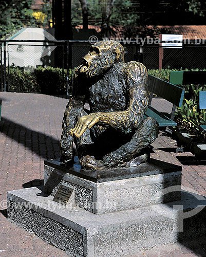  Estátua do Macaco Tião, no Zoológico do Rio de Janeiro - RJ - Brasil  - Rio de Janeiro - Rio de Janeiro - Brasil