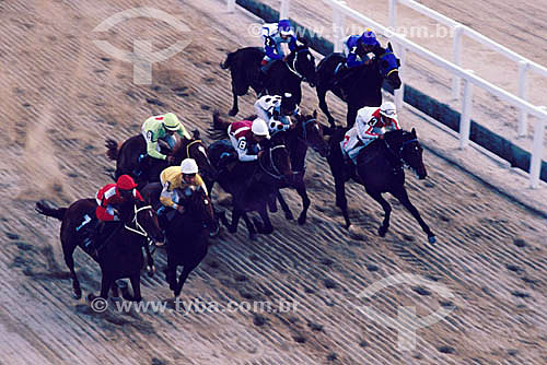  Esporte - Corrida de cavalos -Turfe - Apostas 